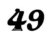 La Quarantanove 49